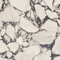 Calacatta Viola Polished