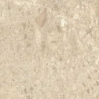 Nyra Ambrosia Hammered